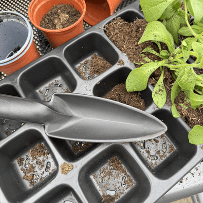 Gardening Tools and Equipment