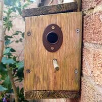 Hedgehog Highway Portal Surround for Fences, etc. S7890