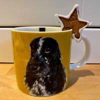 Mug Topper Gingerbread Cookie Cutter Set. S7929