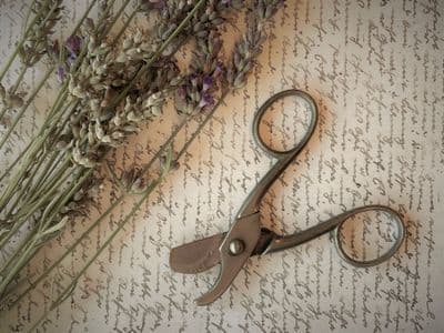 Scissors, Small Vintage Curved Pruning Scissors / Post Office Type String Scissors. C6179