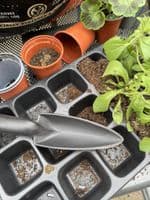 Seed Tray with 15 Cells, Full Size. Various Quantities, UK Made. X1156