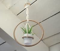 Set of 8 Macrame Rings Hoops, Brown, Wall Hanging, Plant Hangers, Dream Catchers. S7823