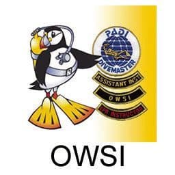 IDC - OWSI