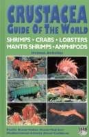 洋書 CRUSTACEA Guide Of The World 51FpWA0q2JL.jpg_BO30,255,255,