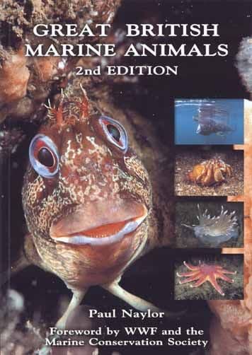 PDC 70 BOOK GREAT BRITISH MARINE ANIMALS, 3RD EDITION