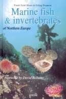 PDC 70 BOOK MARINE FISH & INVERTEBRATES