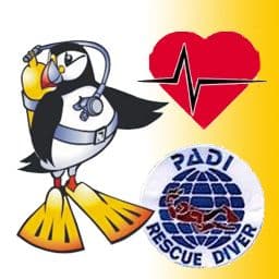 PDC COURSE DIVING BUNDLE 4