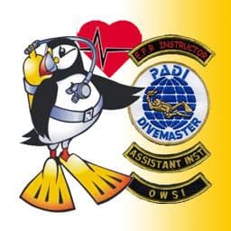 PDC COURSE DIVING BUNDLE 6