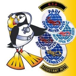 PDC COURSE DIVING BUNDLE 8