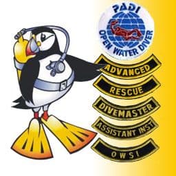 PDC COURSE DIVING BUNDLE 9