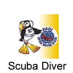 PDC COURSE SCUBA DIVER