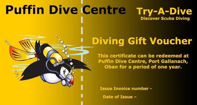 PDC DIVING GIFT VOUCHER <BR> BOOK A TRY-A-DIVE
