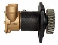 Jabsco  Pumps | Jabsco 10970 | e-pumps.co.uk