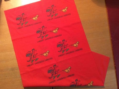 Cardiff Canicross "buff type" scarf