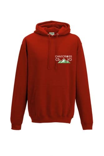 Clwyd kids hoodie