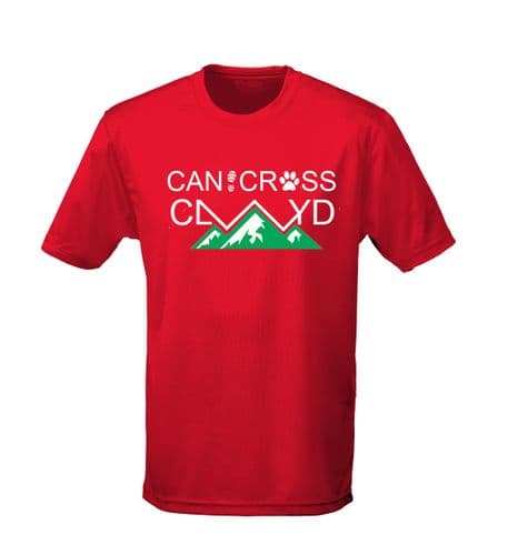 Clwyd Kids T-shirt