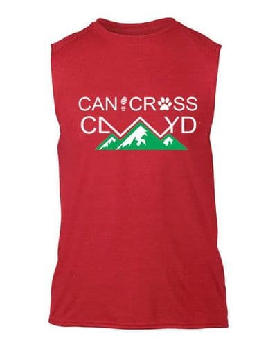 Clwyd Sleeveless casual Mens t-shirt