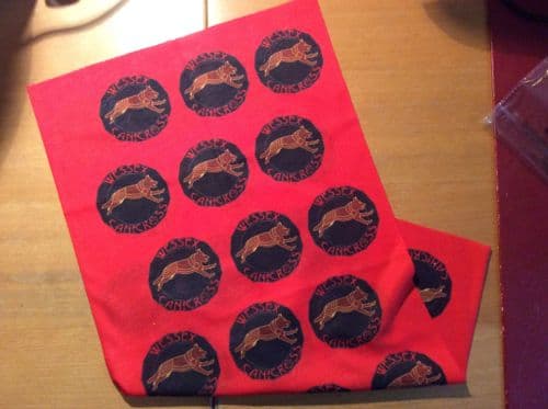 Wessex Canicross "buff type" scarf
