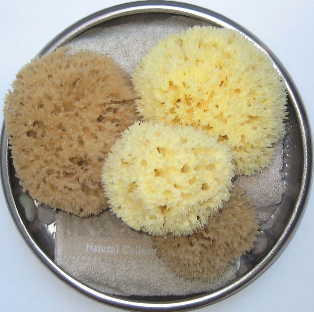 Natural sea sponges for Car Washing [paintsafe]