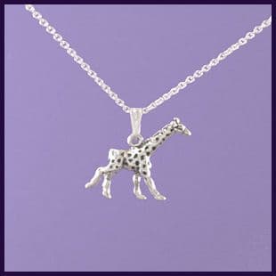 Giraffe Baby