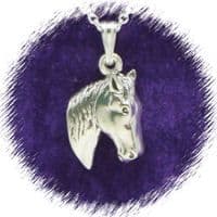 Horse Head