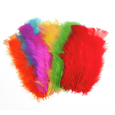 Feathers Assorted Turkey 50pcs