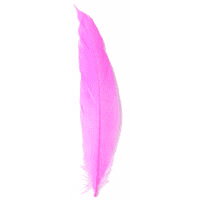 Feathers Goose CERISE Pink