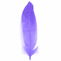 Feathers Goose PURPLE