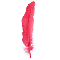 Feathers Goose RED