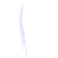 Feathers Goose WHITE