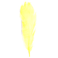 Feathers Goose YELLOW