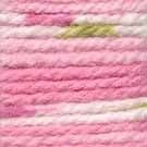 Hayfield Baby Blossom Chunky Yarn 350 Baby Bouquet