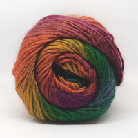 King Cole Riot DK Yarn 1841 Autumn