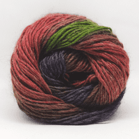 King Cole Riot DK Yarn 403 Wizard