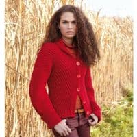 Patons Fab DK Ladies Winter Looks Knitting Pattern 3876  REDUCED