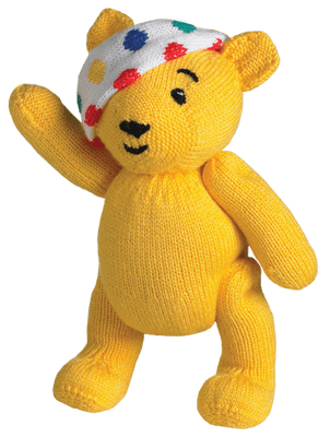 Pudsey Pattern Knitting Patterns