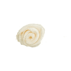 Small Ribbon Roses Cream 815 Cream Bow