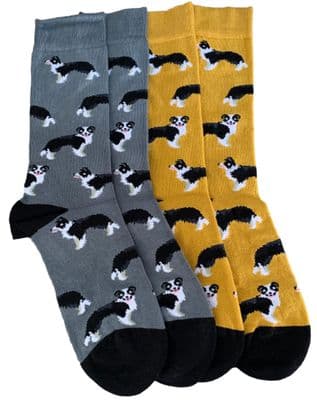 Border Collie Dog Socks 2 Pair Pack in Yellow and Grey Black and White Sheep Dogs Pattern