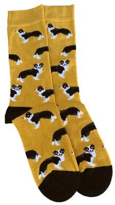 Border Collie Dog Socks in Yellow Black and White Sheep Dogs Pattern Women's Size 4 - 7