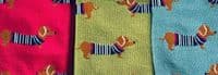 Dachshund Dog Socks Cute Sausage Dogs Pattern 3 Pair Pack in Pink Blue and Green