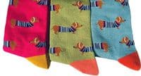 Dachshund Dog Socks Cute Sausage Dogs Pattern 3 Pair Pack in Pink Blue and Green