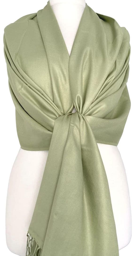 Green Pashmina Light Sage Green Coloured Wrap Plain Shawl