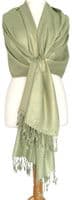 Green Pashmina Light Sage Green Coloured Wrap Plain Shawl