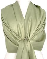 Green Pashmina Light Sage Green Coloured Wrap Plain Shawl