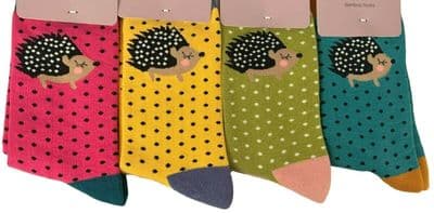 Hedgehog Socks 4 Pair Pack in Yellow Pink Blue and Green Womens Size 4 - 7