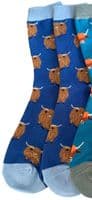 Highland Cow Socks 2 Pair Multi Pack in Blue Women's Size 3 to 7