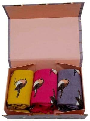 Robin Socks Gift Box 3 Pair Pack of Women's Socks Size 4 to 7