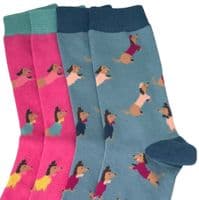Sausage Dog Socks 2 Pair Pack Dachshund Dogs in Hot Pink and Blue