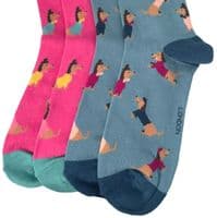 Sausage Dog Socks 2 Pair Pack Dachshund Dogs in Hot Pink and Blue