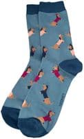 Sausage Dog Socks 2 Pair Pack Dachshund Dogs in Hot Pink and Blue